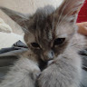 User_10346