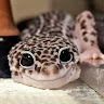 User_3253