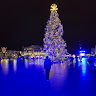 User_4238