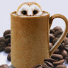 User_8018