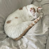 User_9966