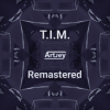 Мұқаба Artjey - T.I.M. (Remastered) Artjey - T.I.M. (Remastered)