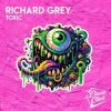 Мұқаба Richard Grey - Toxic (Original Mix) Richard Grey - Toxic (Original Mix)