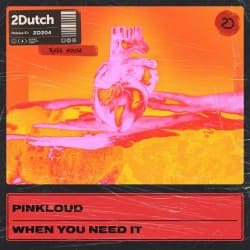 Мұқаба Pinkloud - When You Need It