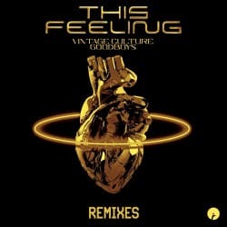 Мұқаба Vintage Culture feat. Goodboys - This Feeling (Velvet Mode And Chris Arna Remix)
