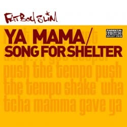 Мұқаба Fatboy Slim - Song for Shelter