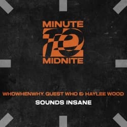 Мұқаба WHOWHENWHY, Guest Who & Haylee Wood - Sounds Insane (Extended Mix)
