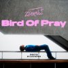 Мұқаба Ziferblat - Bird of Pray Ziferblat - Bird of Pray