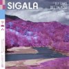 Мұқаба Sigala - With You (feat. Ely Oaks) Sigala - With You (feat. Ely Oaks)