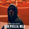 Мұқаба Carla`s Dreams - Sub pielea mea (Midi Culture Remix) Carla`s Dreams - Sub pielea mea (Midi Culture Remix)