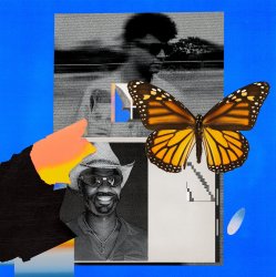 Мұқаба Green Velvet & Jamie Jones - Butterflies