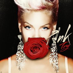 Мұқаба Pink - Try
