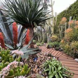 Мұқаба Echo Gardens - Den nich