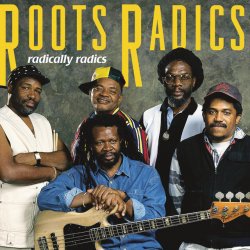 Мұқаба Roots Radics - Everything