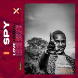 Мұқаба S.P.Y - Love Hurts