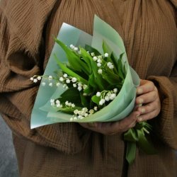 Мұқаба Я подарю вам ландыши