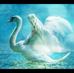 Мұқаба Lacross - Save Me (Swan Lake)