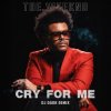 Мұқаба The Weeknd - Cry For Me (Dj Dark Remix) The Weeknd - Cry For Me (Dj Dark Remix)