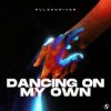 Cover Pulsedriver - Dancing On My Own Pulsedriver - Dancing On My Own