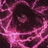Мұқаба DJ Anemia & Crier & Sixnite - This Feeling (Slowed) DJ Anemia & Crier & Sixnite - This Feeling (Slowed)