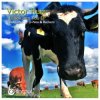 Мұқаба Victor Ruiz - I Look Into You Victor Ruiz - I Look Into You