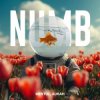 封面 Linkin Park - Numb (Mentol Remix) Aurah Cover Linkin Park - Numb (Mentol Remix) Aurah Cover