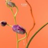 Cover MYRNE - Time (Something To You) MYRNE - Time (Something To You)