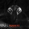 Мұқаба Sam Tinnesz & Tommee Profitt - Serpent Sam Tinnesz & Tommee Profitt - Serpent