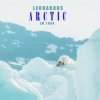 Мұқаба Leonardus - Lovestruck Leonardus - Lovestruck