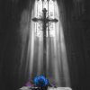 Мұқаба Ava Max - Lost Your Faith (SONIKKU Remix) Ava Max - Lost Your Faith (SONIKKU Remix)