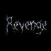 Мұқаба The Revenge - Every Night The Revenge - Every Night