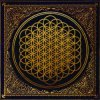 Мұқаба Bring Me The Horizon - Can You Feel My Heart Bring Me The Horizon - Can You Feel My Heart