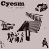 Мұқаба Cyesm - Our Leaders Cyesm - Our Leaders
