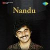 Мұқаба Nandu - Forever In Our Favor Nandu - Forever In Our Favor