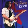 Мұқаба Big Gilson - Cab Driver Blues Big Gilson - Cab Driver Blues