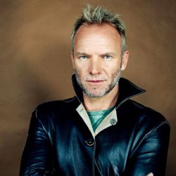 Мұқаба Sting - Shape Of My Heart