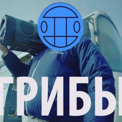 Мұқаба Грибы - Тает Лёд