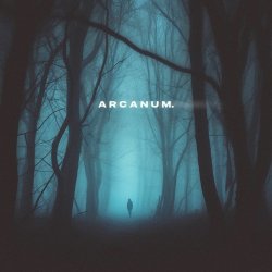 Мұқаба skyfall beats, silent anthem - arcanum