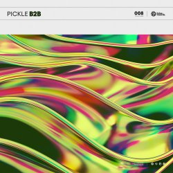 Мұқаба Pickle - B2B