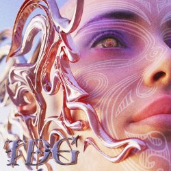 Мұқаба Dizelkraft - TDG