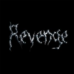 Мұқаба The Revenge - Every Night