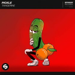 Мұқаба Pickle - Journey
