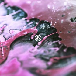 Мұқаба Linkin Park - Heavy Is the Crown