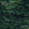 Мұқаба Bill Laswell - Outer Woo Bill Laswell - Outer Woo