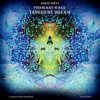 Мұқаба Tangerine Dream - Tear Down The Grey Skies Tangerine Dream - Tear Down The Grey Skies