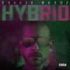 Мұқаба Hybrid - Break My Soul Hybrid - Break My Soul