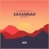Мұқаба Savannah - The Question Savannah - The Question