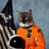 Мұқаба Klaxons - Twin Flames Klaxons - Twin Flames