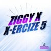 Мұқаба Ziggy X - Vikinx Ziggy X - Vikinx