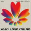 Мұқаба Alok - The Club Is Jumpin' Alok - The Club Is Jumpin'